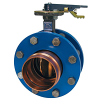 Butterfly Valve - Ductile Iron, Press x Press Female Ends, 250 PSI, PFD3022