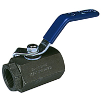 Two-Piece Carbon Steel Ball Valve - Conventional Port, Stainless Steel Trim, T-580-CS-R-66