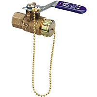 Two-Piece Bronze Ball Valve - Stainless Steel Trim, Hose Connection, T-585-70-66-HC