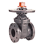 Gate Valve - Cast Iron, Fire Protection, Flanged, F-609