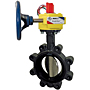 Butterfly Valve - Ductile Iron, Fire Protection, Normally Closed, UL Listed, Lug Style, LD-3510-C-8