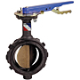 Butterfly Valve - Ductile Iron, Wafer Type, 250 PSI, WD-3100