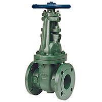 Gate Valve - Class 150, Ductile Iron, Stainless Steel Trim, Flanged, F-637-33