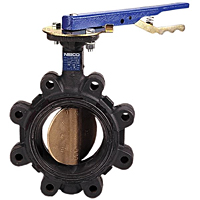 Butterfly Valve - Cast Iron, 200 PSI, EPDM Seat, LC-2000