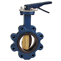 Butterfly Valve - Cast Iron, International, Electroplated Ductile Iron Disc, N200236