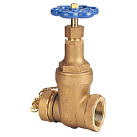 Gate Valve - Bronze, Fire Protection, Hose Cap and Chain, T-103-HC