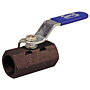 One-Piece Carbon Steel Ball Valve - Reduced Port, Stainless Steel Trim, T-570-CS-R-66