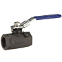 Two-Piece Carbon Steel Ball Valve - Conventional Port, Stainless Steel Trim, TC-580-CS-R-66-LL