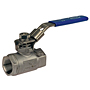 Two-Piece Stainless Steel Ball Valve - Conventional Port, Stainless Steel Trim, T-580-S6-R-66-LL