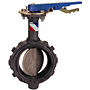 Butterfly Valve - Ductile Iron, Wafer Type, Stainless Steel Disc, WD-3222